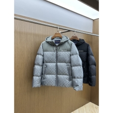 Louis Vuitton Down Jackets